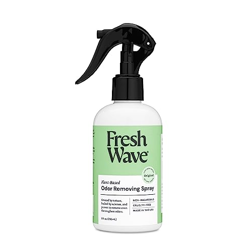 Best Non Toxic Car Air Freshener